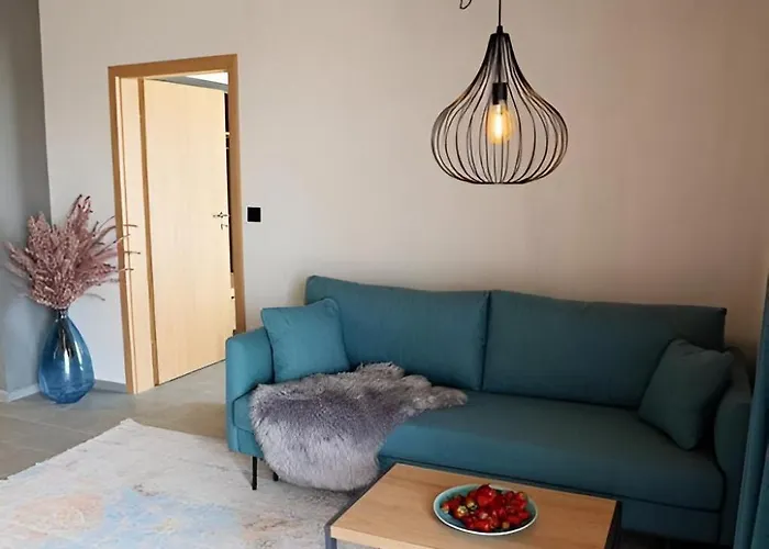 Amara Sugar 써니비치